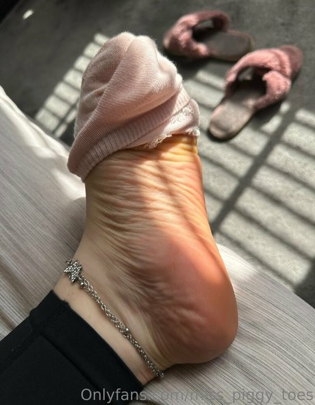 miss piggytoes セクシーなポルノスター 写真