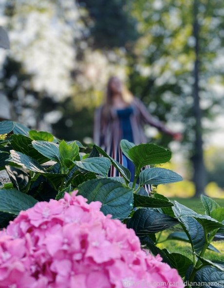 ぽっちゃり妊婦オンリーファンズ ポルノグラフィック 写真