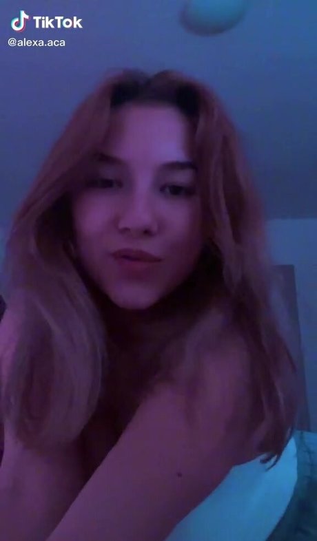 alexa aca 最高のモデル 画像