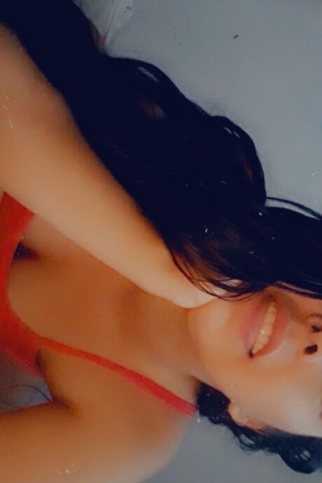 Dania 限定スター 写真