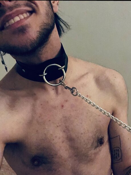 Persimmon ホットなモデル 画像