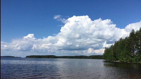 Angel of Lilith かわいいスター 写真