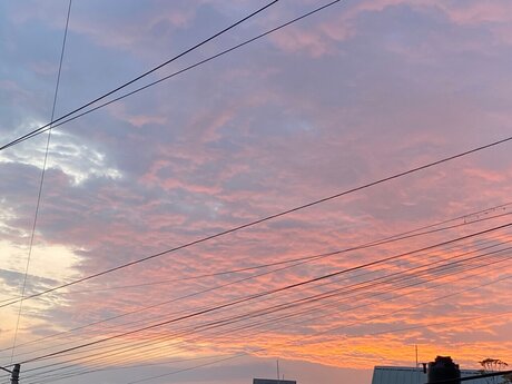 Cutie Foxy 美しいスター アーカイブ