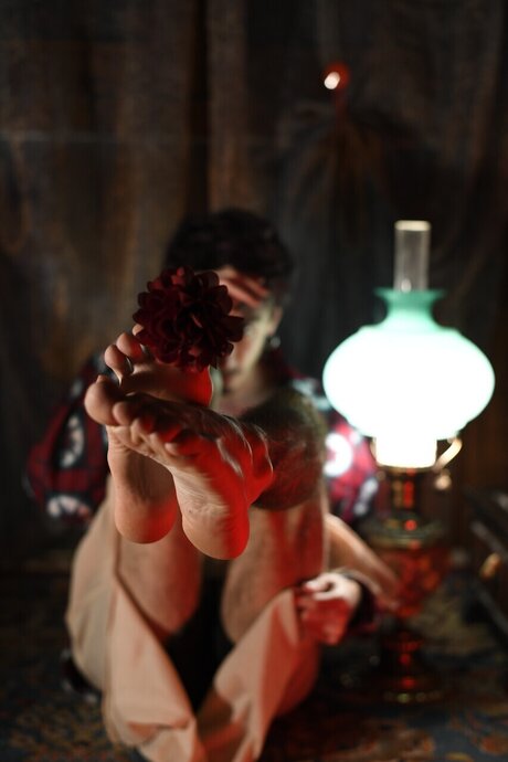 BauschFeet 限定モデル 画像