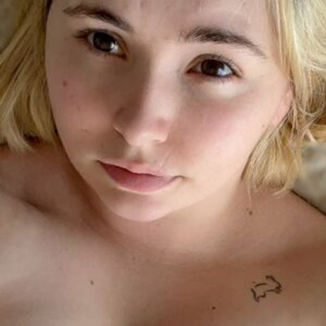 Kali Kitten ホットスター 画像