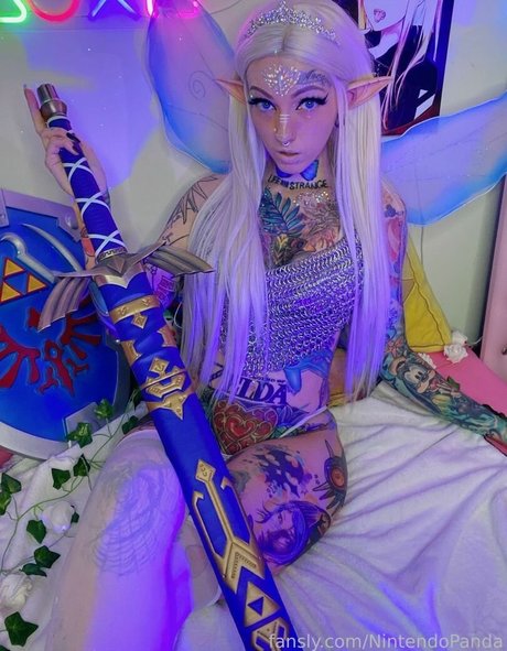 Nintendo Panda 美しいモデル ギャラリー