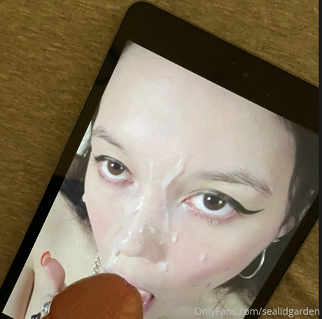 sealidgarden HDモデル 画像