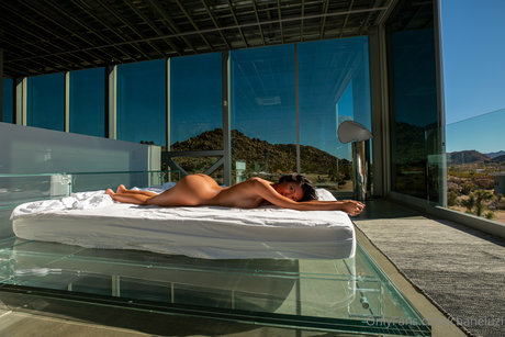 Chanel Uzi HDスター 写真