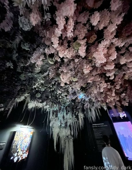 キッチンセックスオンリーファンズ ポルノ アーカイブ