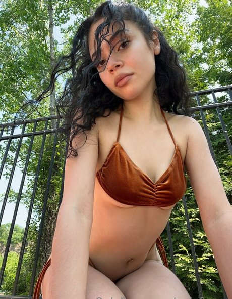 Gaiafaeye 素敵なスター 写真