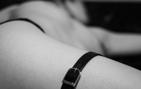 ワックスオンリーファン えろた ギャラリー