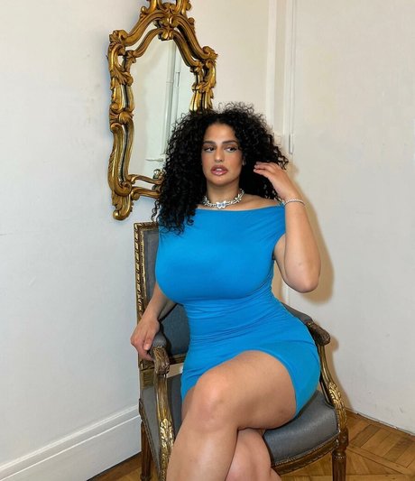 アフリカの猫オンリーファンズ ベスト 画像