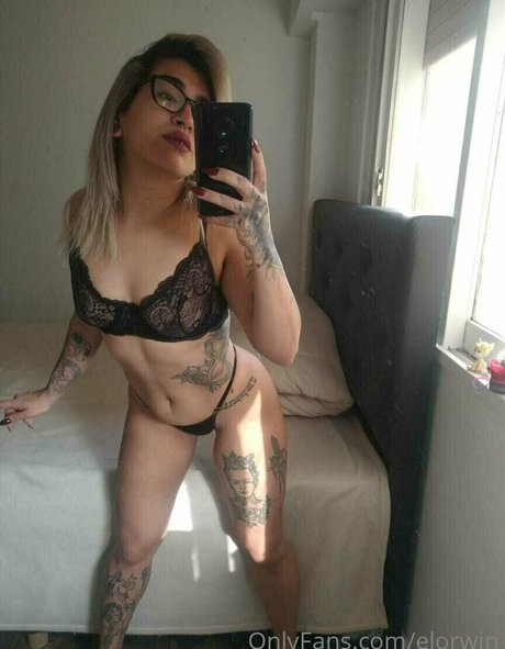 elorwin 美しいスター アーカイブ