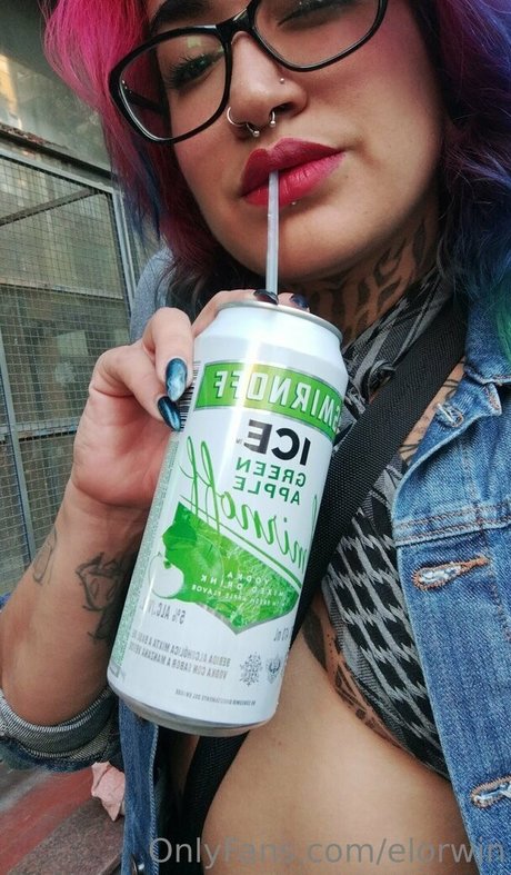 elorwin HDモデル 写真