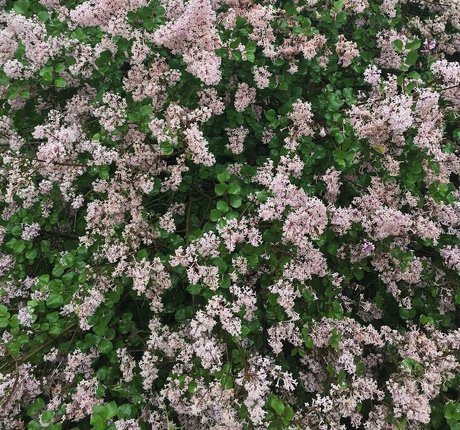 曲線美のブロンドオンリーファンズ ホットセクシー 写真