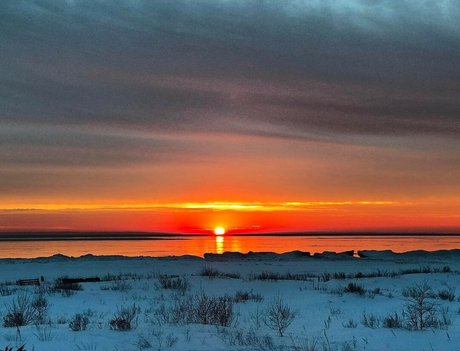 モンスターコックオンリーファンズ エロチック 画像