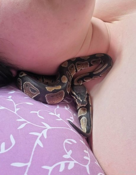 乳首 オンリーファンズ 美しい 写真