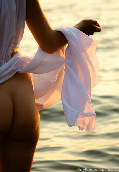 pollinared ポルノモデル 写真