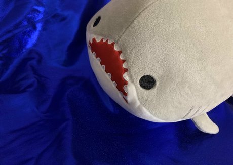 ティックトックスター オンリーファンズ 美しいxxx 写真