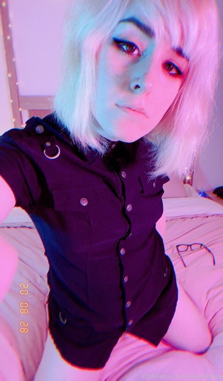 majorlosse トップスター 写真