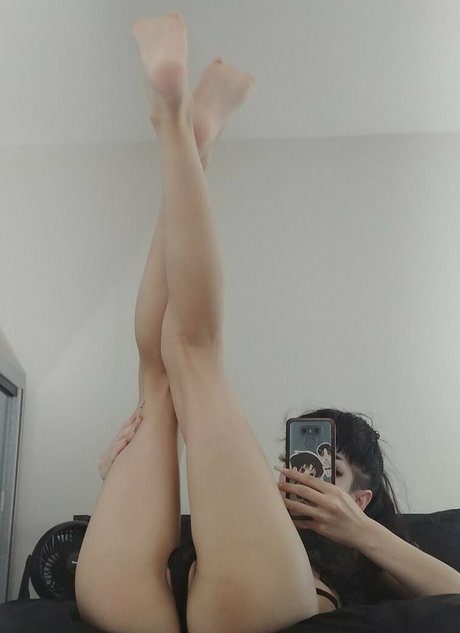 Tricksterkarkat トップポルノスター 画像