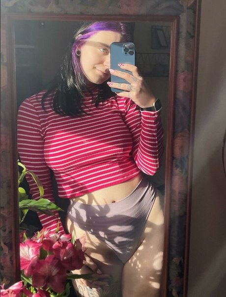 Phoebe mae スター 写真