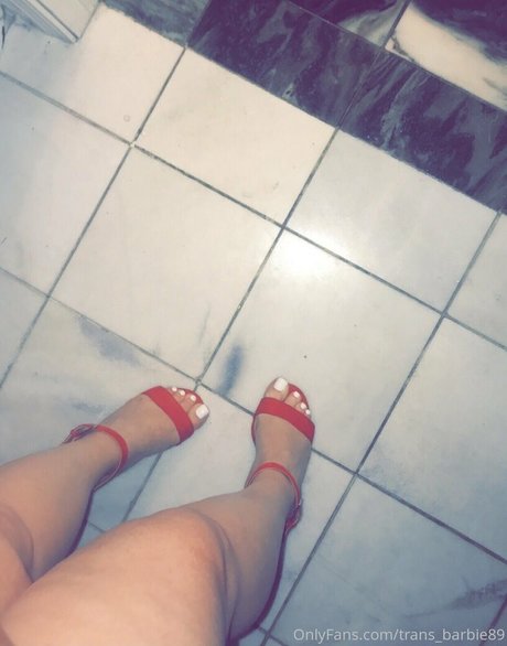 trans barbie89 独占女優 アーカイブ