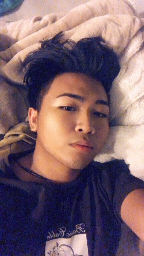 u11157101 美しいスター 写真