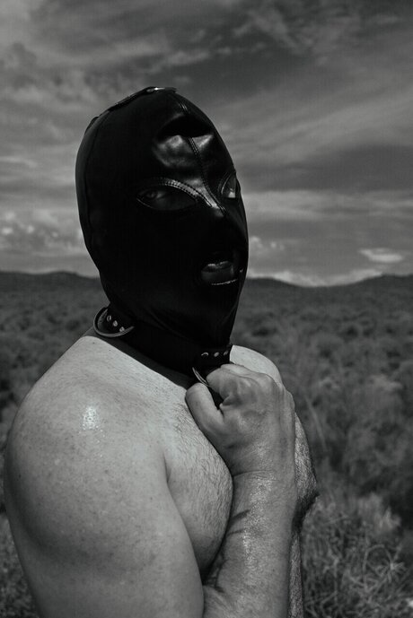 Steve Trevor ポルノスター エロティック 写真