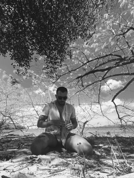 GDAVID HDスター 写真