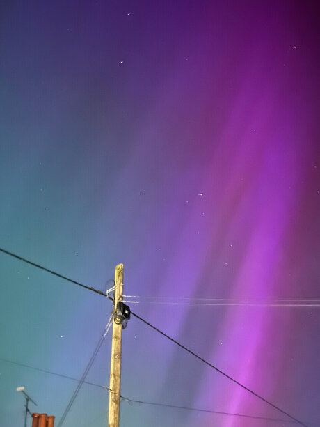 Luke アダルトモデル 画像