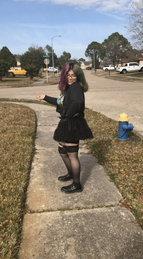 pistachio アートスター 写真