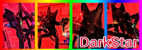 DarkStar XXXモデル 写真