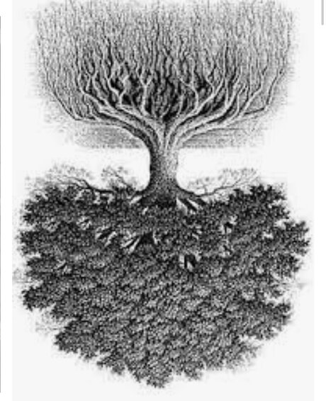 WIZ ホットなスター ギャラリー