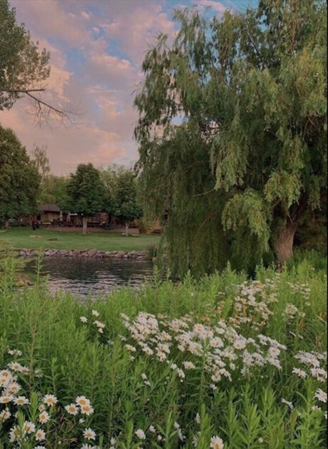 Cxs spxt ポルノモデル 画像