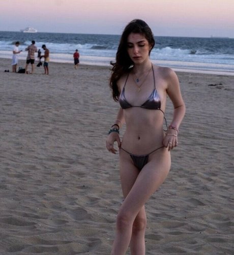 Cocoxcohen 限定スター アーカイブ