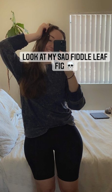 Michelle T ポルノスター 画像