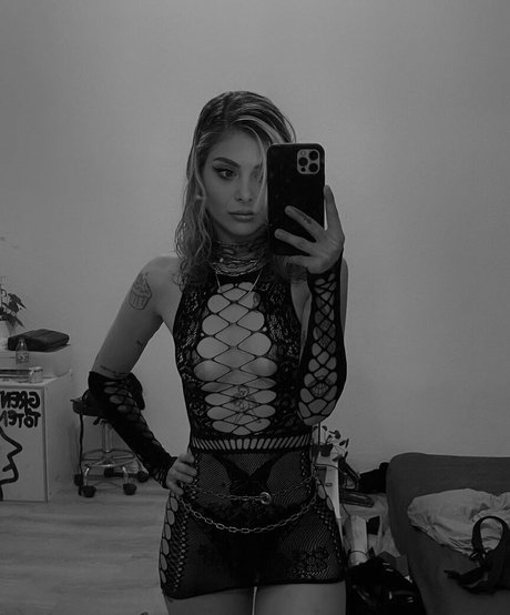 Fincansurat 素敵なスター 写真