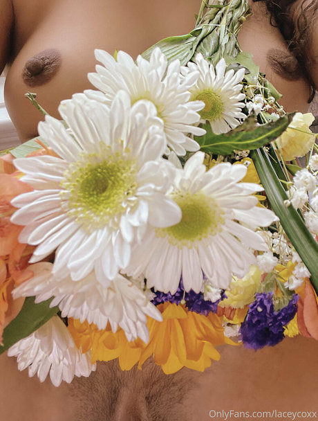 laceycoxx ヌードモデル アーカイブ