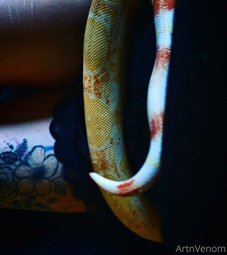 ssbbw オンリーファンズ ポルノ 画像