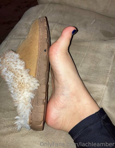 lachleamber ヌードスター アーカイブ