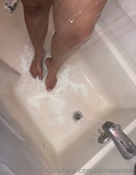 lachleamber 写真集