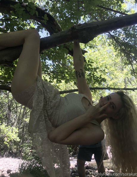 sorakat 最高のスター 写真