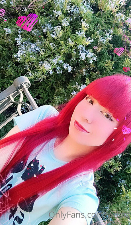 wdart 独占スター 写真