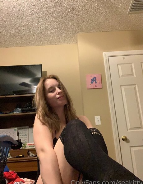 Seakitty 完璧なスター ギャラリー