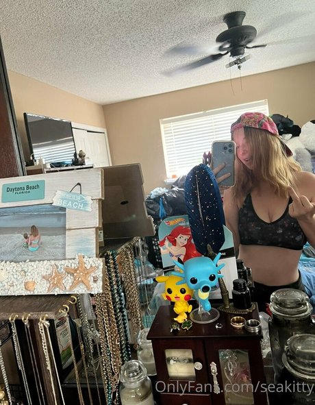 Seakitty HDモデル 画像