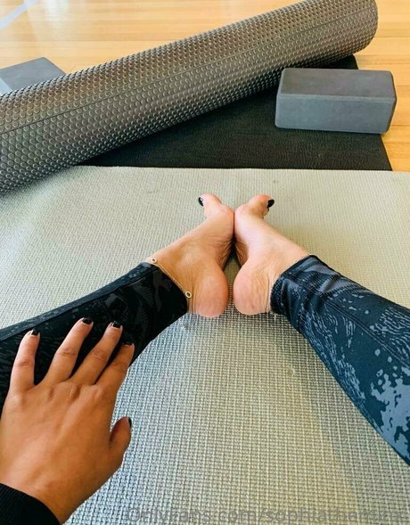 タンオンリーファン HD アーカイブ