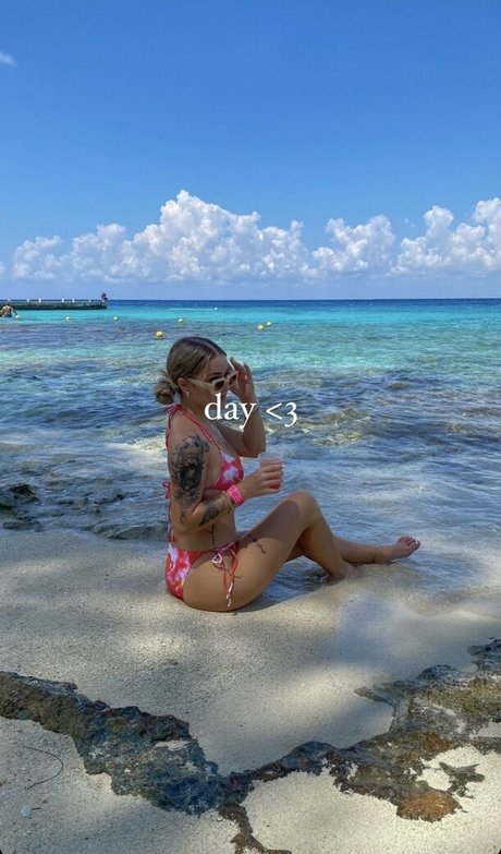 Savway ヌードスター 画像