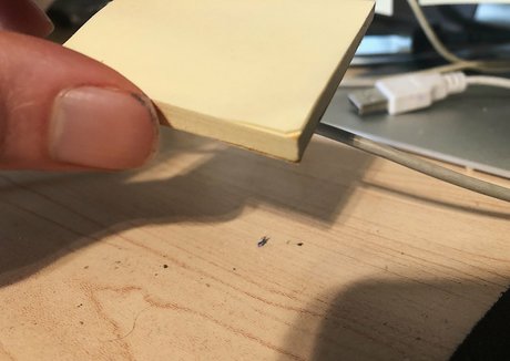 giantgodqueen HDポルノスター アーカイブ