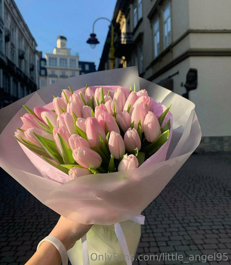 筋肉トランスオンリーファンズ ベスト 写真